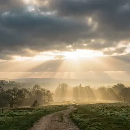Sonnenstrahlen durchbrechen dunkle Wolken über einem Weg als Symbol für Hoffnung und Trost. Herzenssprecherin Caroline Stiegler, Trauerbegleitung und freie Rednerin in Salzburg.
