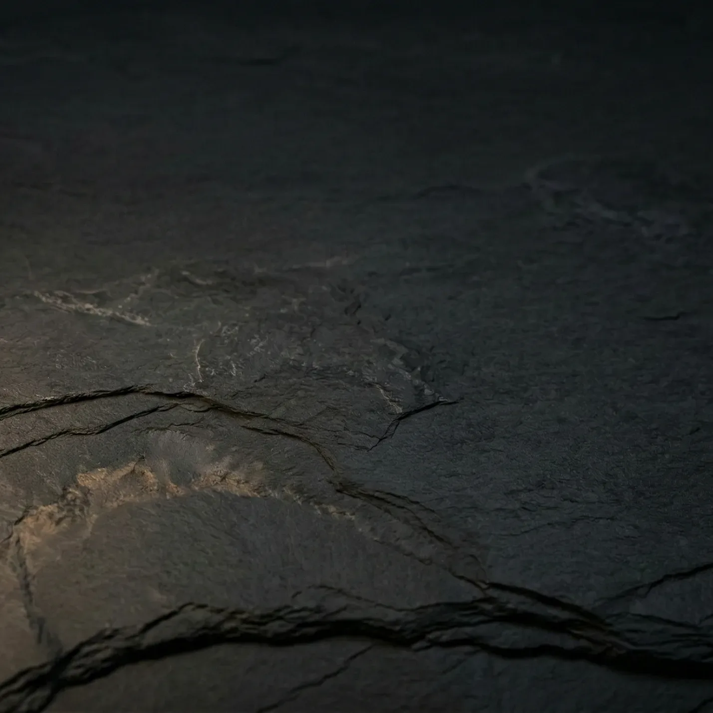 Integrationsbegleitung bei komplexer und ungeklärter Trauer - Caroline Stiegler Salzburg